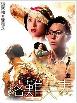 夫妻影院
