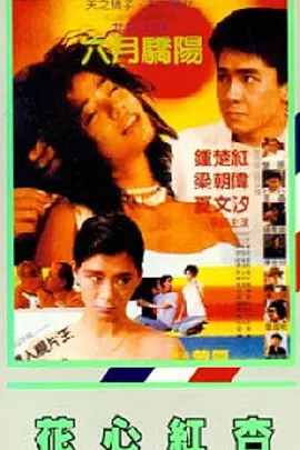 蛋白质娃娃