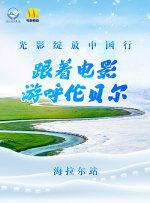 黄页网站播放器日本