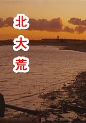 黑老大的三百六十五天免费