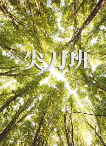 精精国产视频