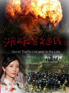 国产999在线观看