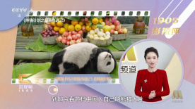 老师扒开腿让我c了一夜视频